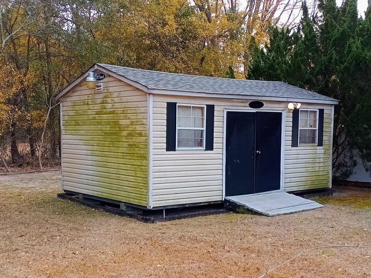 Shed covered in heavy green algae before pressure washing